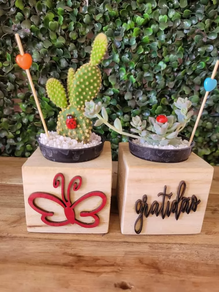 Suculenta com suporte em MDF