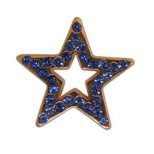 Pin com pedras de strass